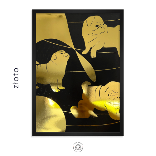 233-kopia.png