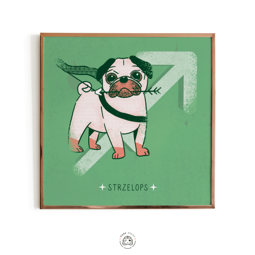 strzelops3.png